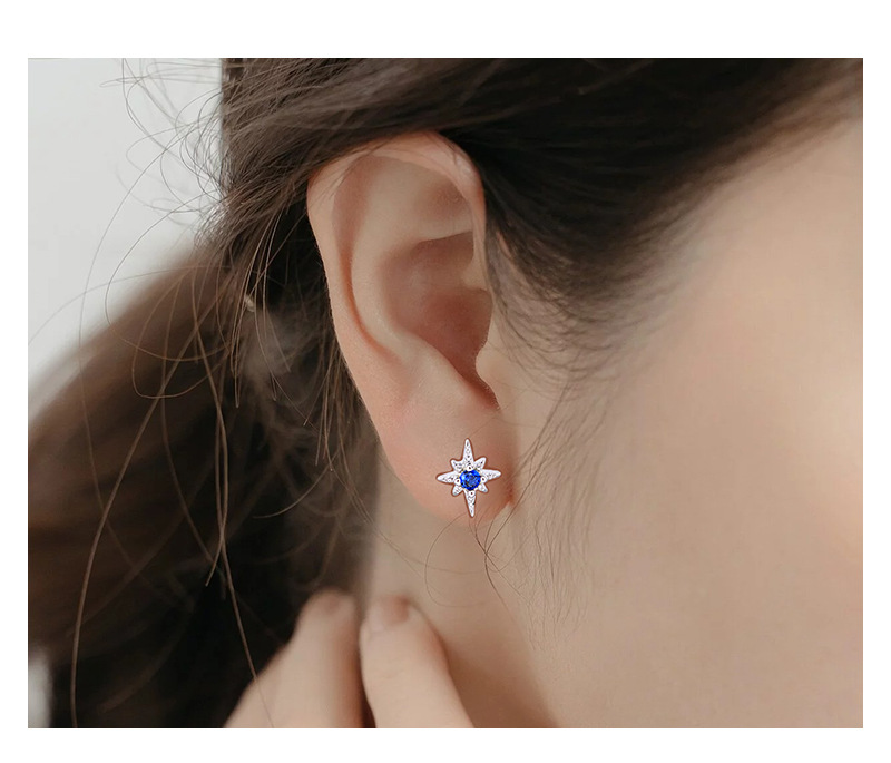 Simple Style Star Sterling Silver Plating Zircon Earrings 1 Pair display picture 2