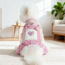 PETCIRCLE�����·��ﶬС��Ȯ��Ȯ�옷��؈��ů�۷ې��ı���ѝ