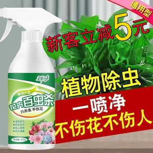 Flower and Plant Insecticide, General Green Plant Insecticide, Succulent Rose Aphid, Small Black Fly, Red Spider Insecticide