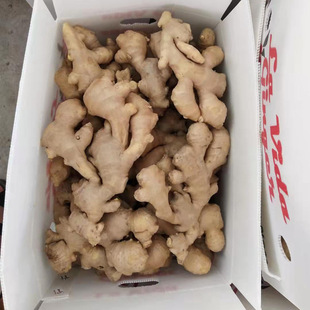 ���r�������乩�� �Ͻ������ڼ� �����K�o���r�߲� �N���{ζʳ��