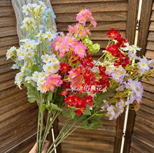 ������ʾ�С�r����@���·��滨���޾ռٻ�����С�r�����Q�����l