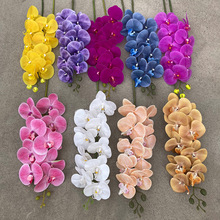 仿真花9头PU蝴蝶兰白色婚庆婚礼装饰背景花艺插花小红书订婚装饰