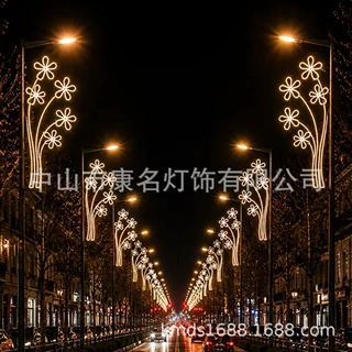 中国龙 喷泉灯 树叶灯 花朵挂件 路灯杆艺术灯 旗杆造型灯