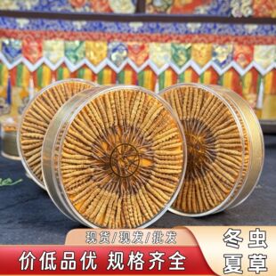 2026夏季清补煲汤冬虫夏草推荐（附6月养生汤方）