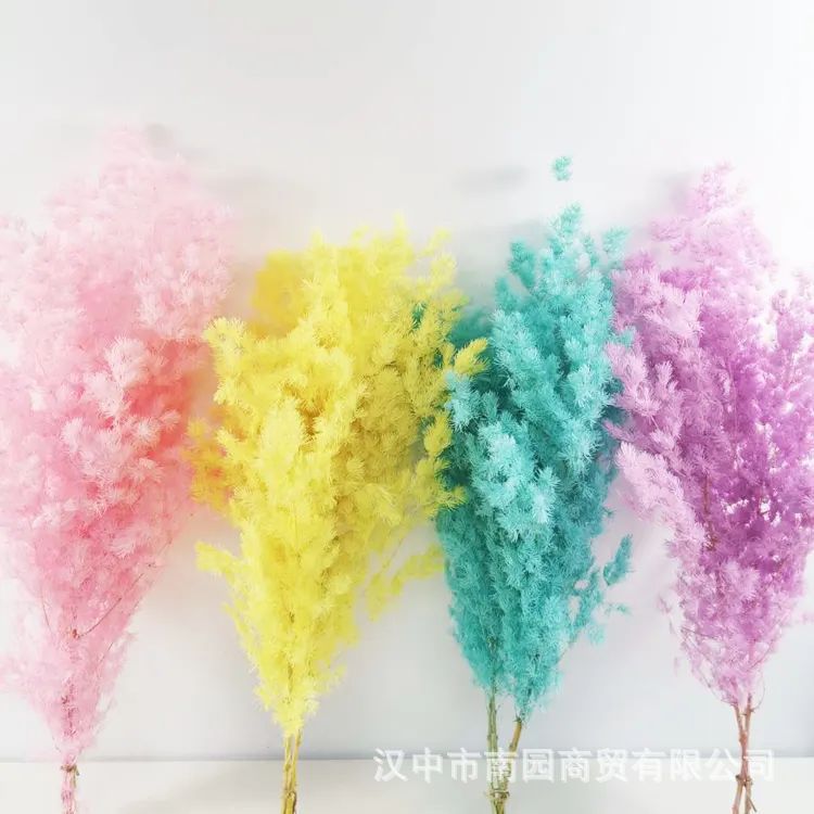 Dried flowers Penglai pine immortal flowers diy flowers cedar home decoration ornaments Valentine's Day gifts Christmas bouquets