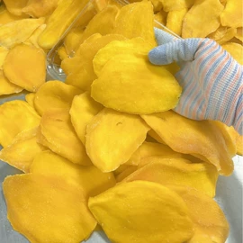 芒果干;腰果;其他休闲食品