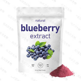 跨境热卖蓝莓粉水溶蓝莓果粉烘焙蛋糕原料现货实拍蓝莓提取物批发