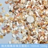 Polished chamfered pearl shell particles 500g (4-10mm)