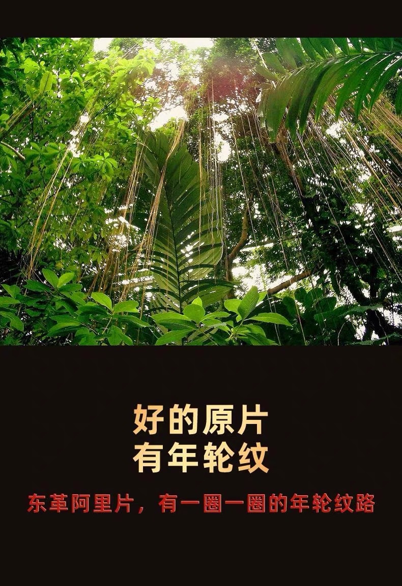 Tongkat Ali Root Slices Dong Ge A Li 500g Wild-Cut Yellow Slices for Decoction and Culinary Use quality and texture