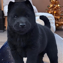 ���ۼ��N�����Ȯ���w�����V���������ﹷ��������CȮ���A��@Ȯ