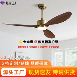 风扇灯;吊扇