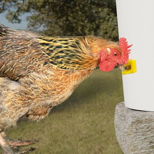 Cross-border new chicken, duck, and goose cross-drinking fountain chicken automatic drinking nozzle chicken automatic water feeder farm equipment factory supply