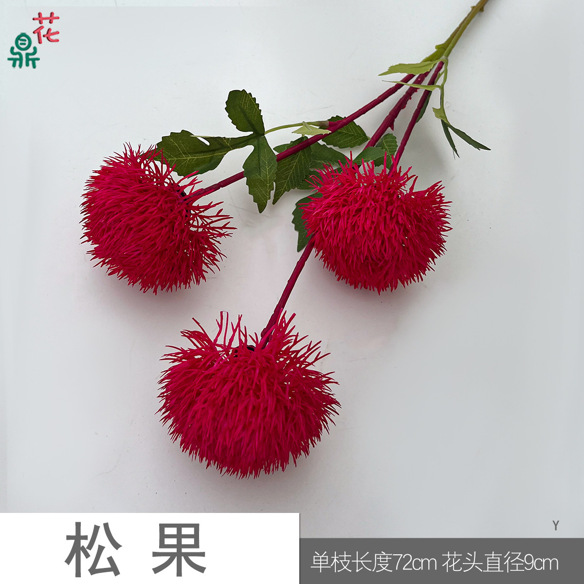 솔방울 Y 로즈 레드