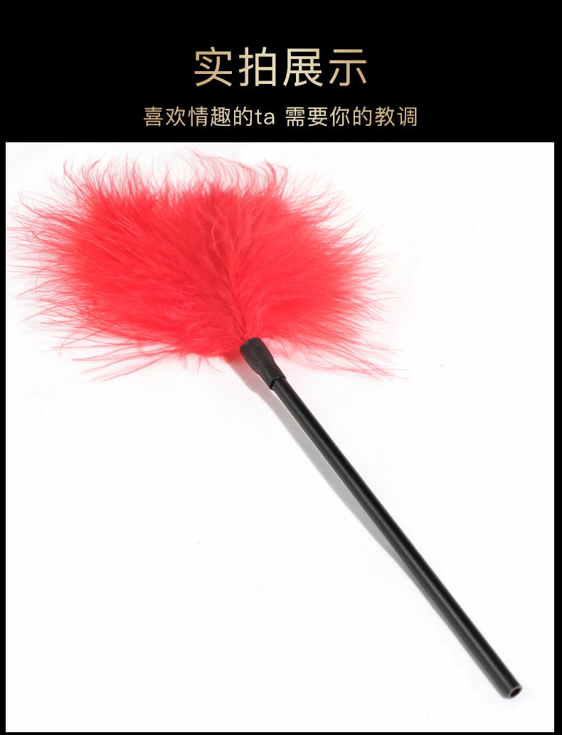 Jiuai SM Feather Slapping Auxiliary Tool for Couples, ABS Short-Handle Feather Stick, Red — detail image 5