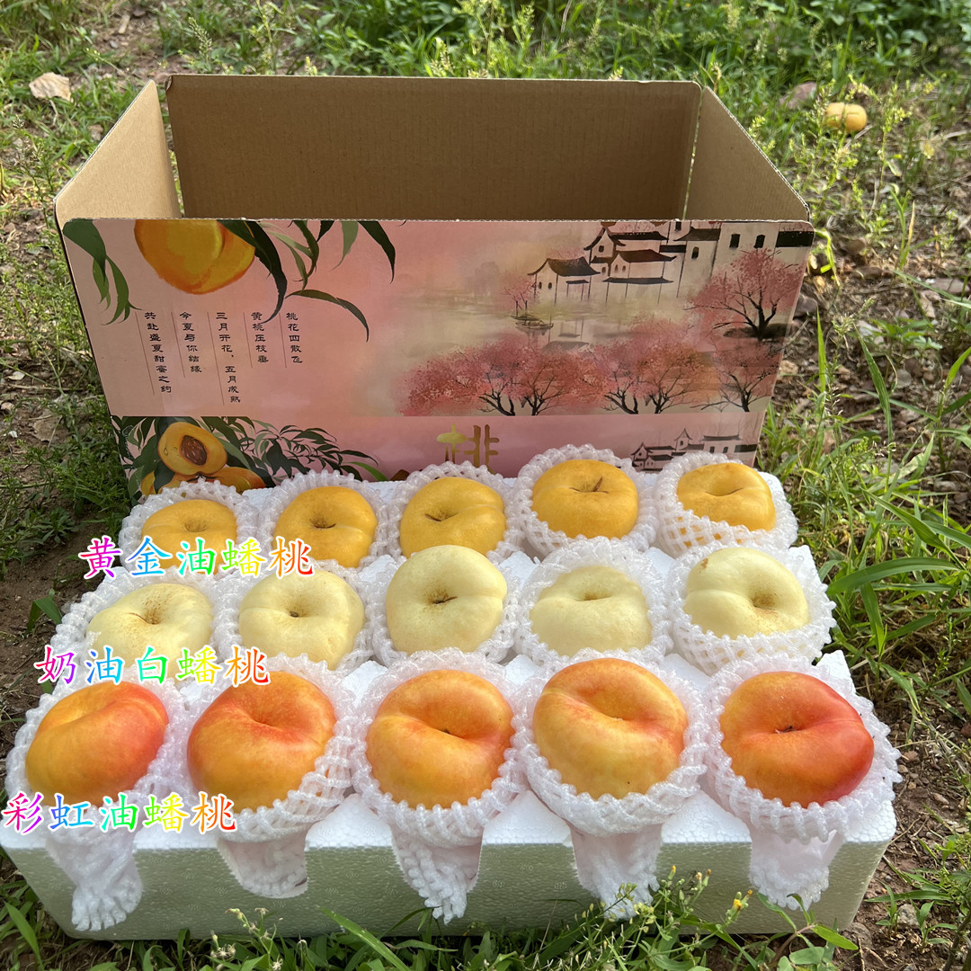 【蒙阴奶油蟠桃 黄金油蟠桃 彩虹油蟠桃】高回购4斤新鲜水果代发