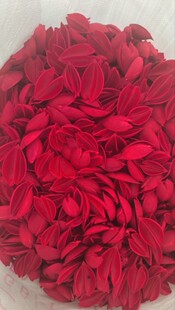 ��ͩ���ɻ�ԭ����ľɏ������ͩ���ֹ��黨���ϼ��ֹ�����