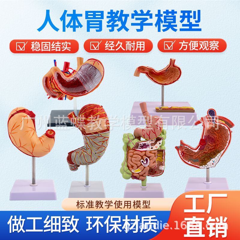 ��������ϵͳģ��θ�ʹ�״����س��Ƴ������ʺ��ṹ����ҽѧ�̾�