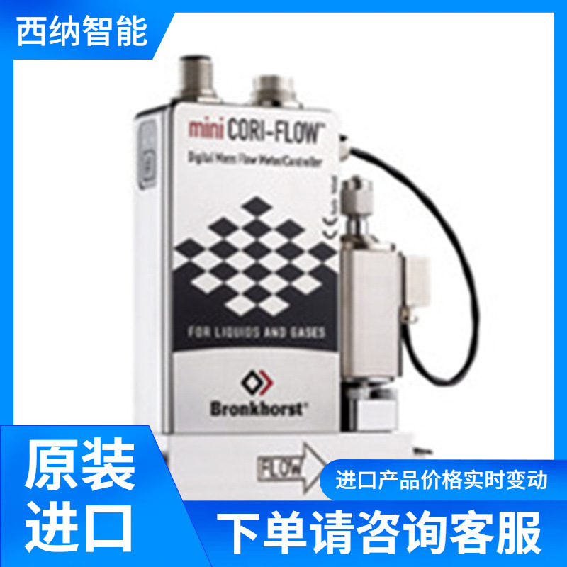Bronkhorst流量计