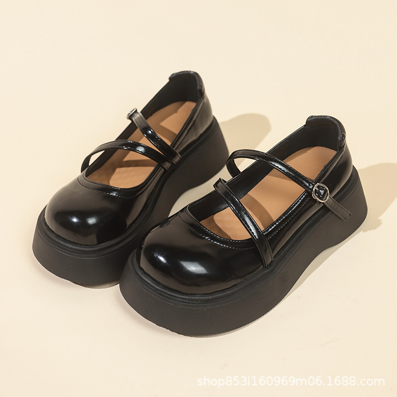 2025022409159648957806w800h800