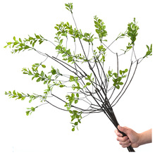 ����Gֲ��֦С���~����ʽ�������üҾ��b�diy���Ϸ���ٻ��쾰