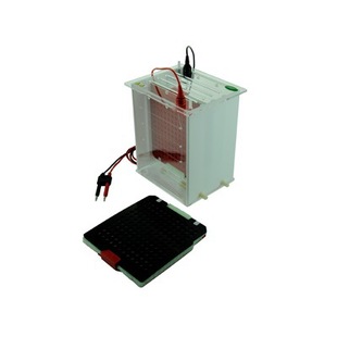 [Beijing Junyi] Jy-Zy2 Type Transfer Electrophoresis Tank/Buffer Volume ~ 4000ml