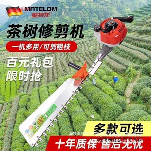 �M�ڴ������;G�h�C�޲�C����~�޼��C��֦��@ˇ��֦��������