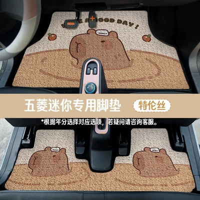 Car Floor Mats Wuling Hongguang: Avtomobil döşəmə paspasları - hot-spring-kapie-double-rows-front-and-rear-car-floor-mats