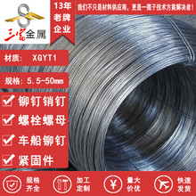 宝钢现货XGYT1纯铁冷镦用 优选冷墩线材 可球化拉丝加工精品线材