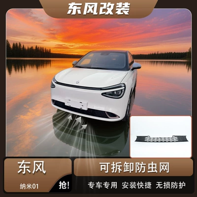 Dongfeng Nano 01 snap-on insect-proof net grille protection anti-mosquito and lint modification decorative accessories (Automobile anti-insect net)