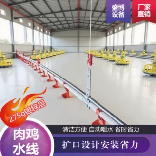 平养肉鸡自动升降方管圆管喂水饮水线 乳头喝水系统