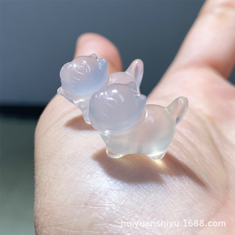 고양이(행운의 고양이)