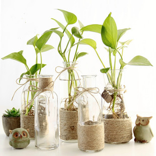 American Style Country Vintage Hemp Rope Transparent Glass Vase Home Decoration Hydroponic Flower Vase Office Green Rose Vase