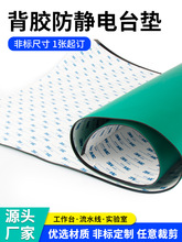 ��ճ���z���o늹���̨�|�o�Ƥ�S�����|��������������zƤ���z�|