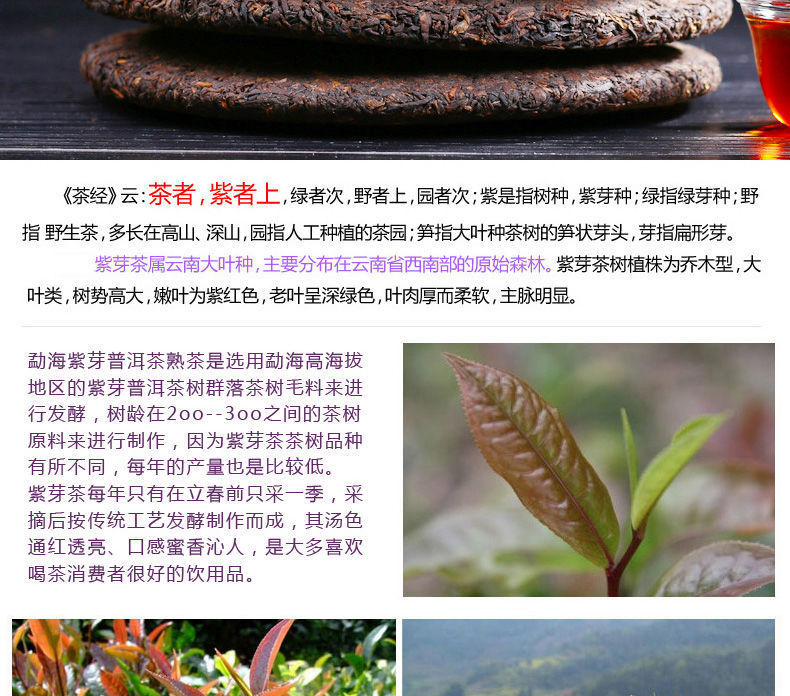 hmqViviiyNSAyin7WueWt4l53qvCNdRY7yng