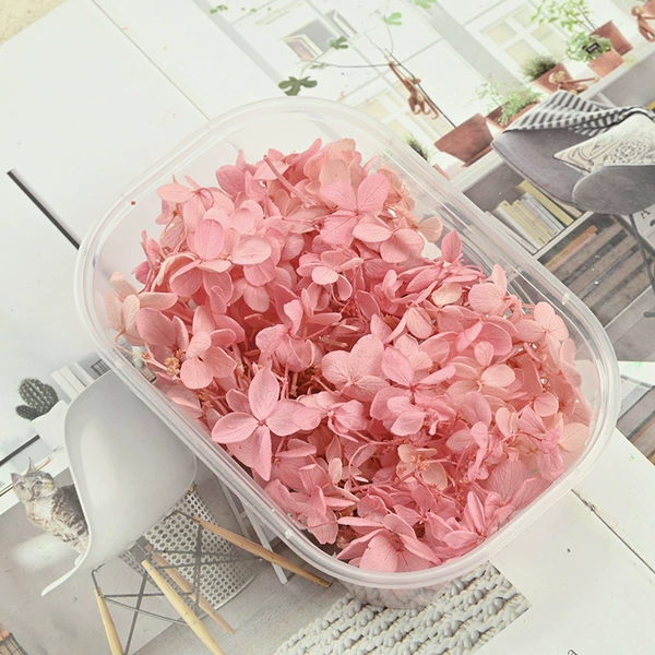 B -level wooden hydrangea gradient powder 1