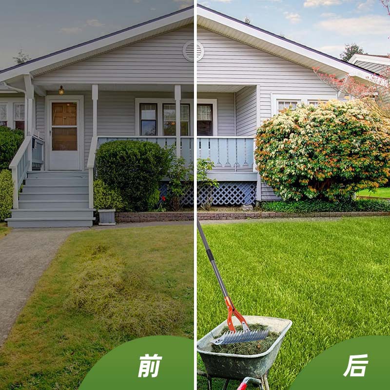 O1CN01Au7dIl1kAXnyIHolJ_!!9836