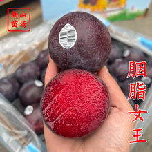 ����֬Ů�����硿��Ʒ�N���޼t����֬Ů�����Ә��������t����