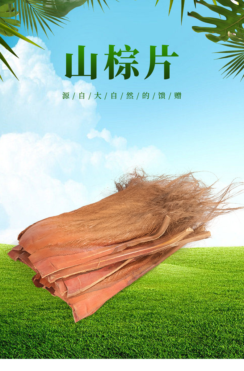 棕树皮棕榈叶树皮山棕片棕毛绿萝棒树皮棕丝园林花卉盆景绿化-阿里巴巴