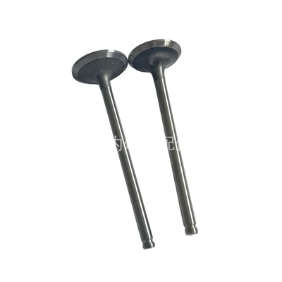 3921444, Valves and components
