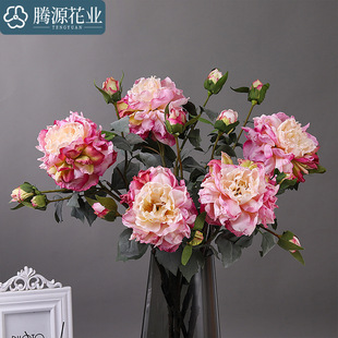 ���滨 4�^�������ĵ�� �Ҿ��bƵ꽁����c�zӰ�[��ĵ�� ���l