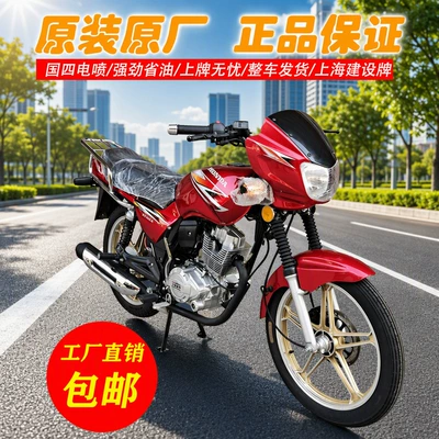 Brand New Diamond Leopard Model, National Standard Iv, Electric Injection Fuel System, Two-Wheeled Construction Motorcycle, 150Cc Motorcycle, Can Be Registered