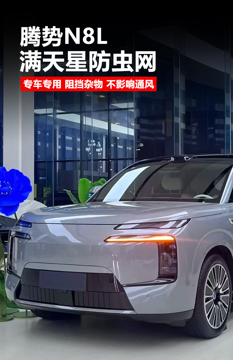 Suitable for Denza N8L Insect-Proof Net Front Grille Water Tank Snap-On Protective Cover Insect-Proof Catkin Modification Accessories