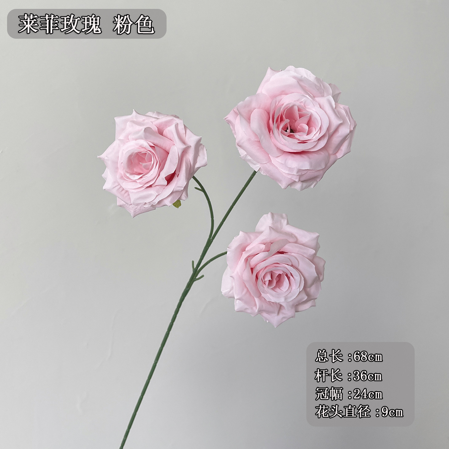 3 필레 로즈 핑크