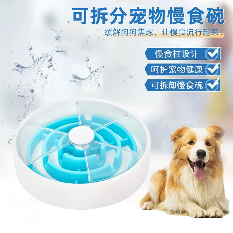 Новая собака медленно ест собачью миску для маленьких и средних щенков