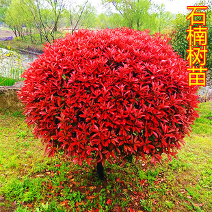 �t�~ʯ����Θ�����S��С�~Ůؑ�����ļ�����t����ͥԺ�G������