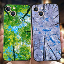 iPhone15ﶬȻ羰ֻtrees