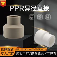 ppr白色灰色大小头20-110 异径直接4分6分1寸PPR变径配件