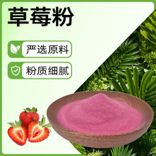 冷冻干燥工艺紫色粉末含花青素鞣花酸维生素膳食纤维可水溶草莓粉
