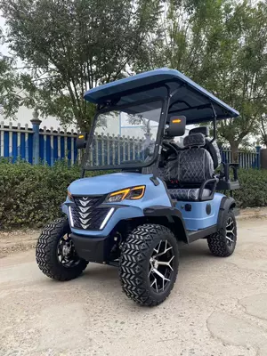 Golf Carts 4-Seater 6-Seater Elektrikli qolf avtomobilləri - 2-row-4-seat-golf-cart