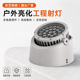 投射灯;投光灯;埋地灯